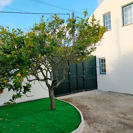 Guest house Brisa Do Mar - Consolacao *