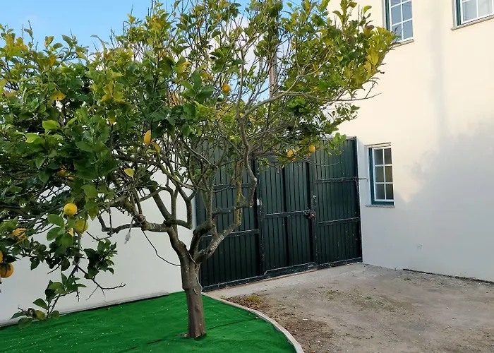 Brisa Do Mar - Consolacao Guest house 3*